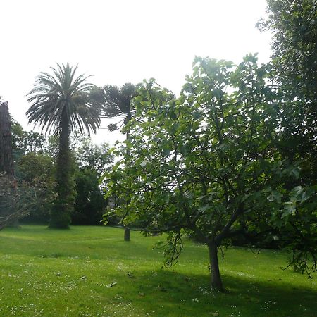 Las Carolinas Garden Сантандер Екстер'єр фото