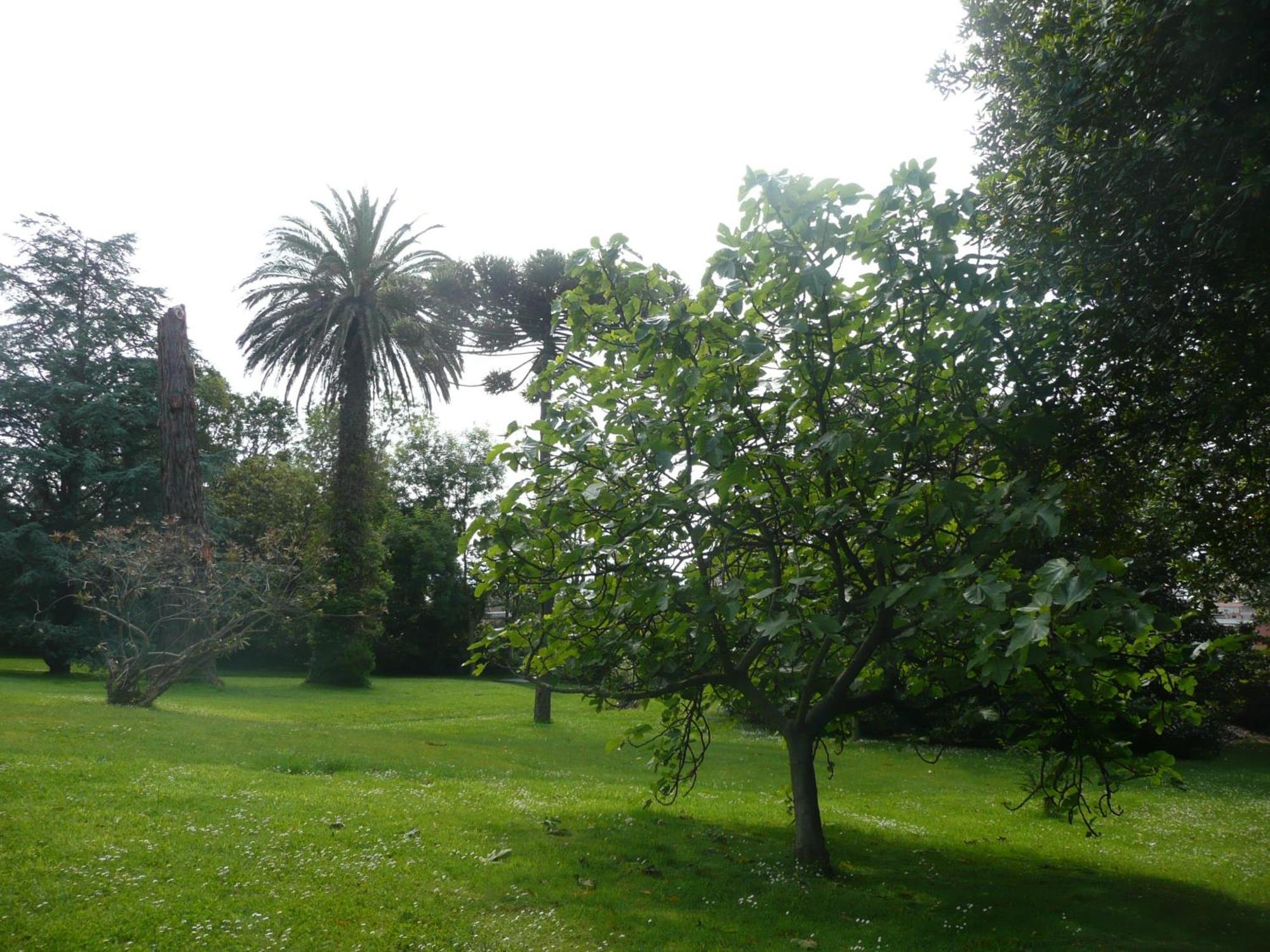 Las Carolinas Garden Сантандер Екстер'єр фото